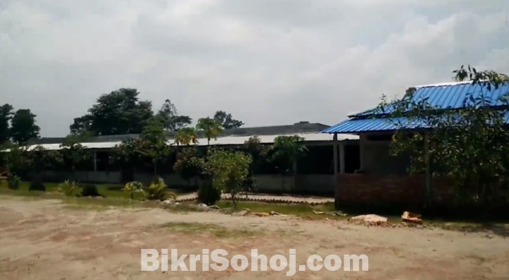 পূর্বাচলে ৩ কাঠার একটি রেডি প্লট জরুরী বিক্রি হবে।